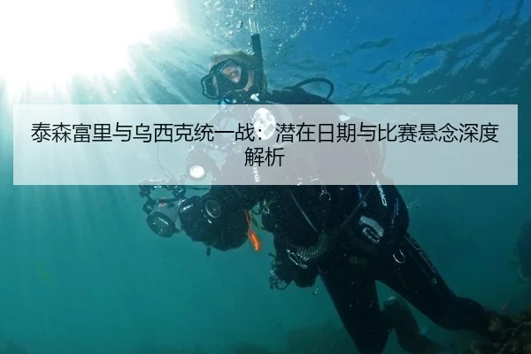 泰森富里与乌西克统一战：潜在日期与比赛悬念深度解析