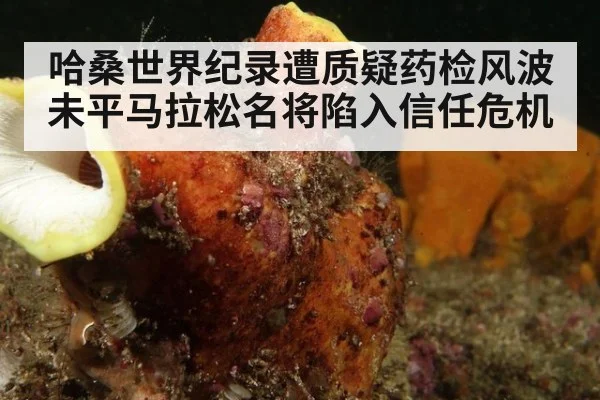 哈桑世界纪录遭质疑药检风波未平马拉松名将陷入信任危机