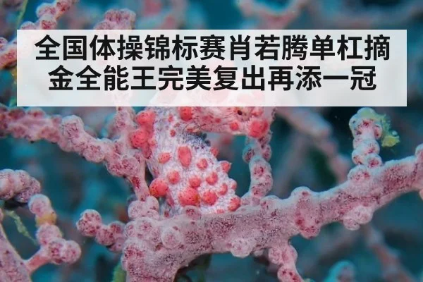 全国体操锦标赛肖若腾单杠摘金全能王完美复出再添一冠