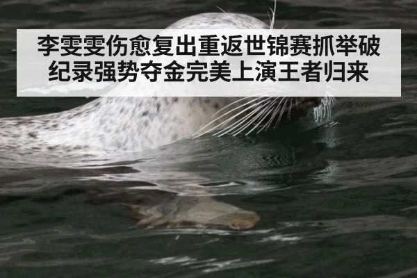 李雯雯伤愈复出重返世锦赛抓举破纪录强势夺金完美上演王者归来